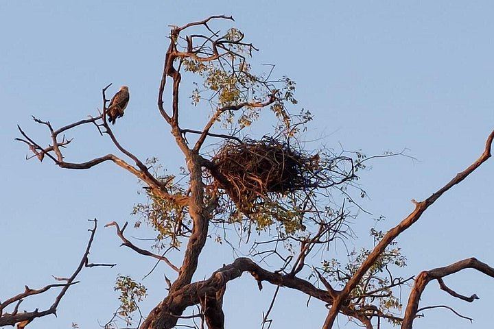 Victoria Falls, Chobe, Makgadikgadi and Okavango Delta 6-Day Overland Safari (3/12)