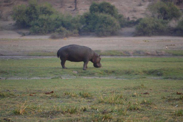 Victoria Falls, Chobe, Makgadikgadi and Okavango Delta 6-Day Overland Safari (11/12)