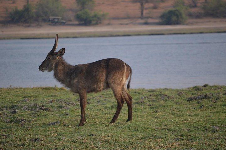 Victoria Falls, Chobe, Makgadikgadi and Okavango Delta 6-Day Overland Safari (10/12)