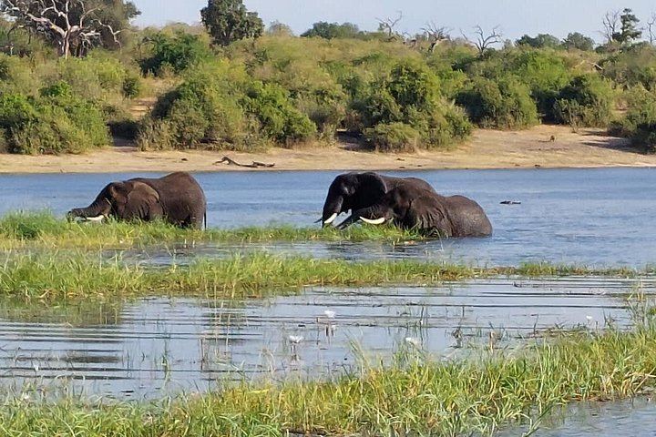 Victoria Falls, Chobe, Makgadikgadi and Okavango Delta 6-Day Overland Safari (2/12)