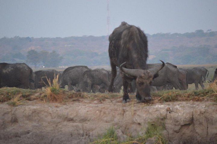 Victoria Falls, Chobe, Makgadikgadi and Okavango Delta 6-Day Overland Safari (12/12)