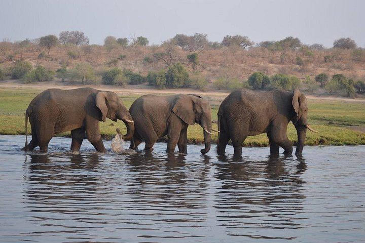 Victoria Falls, Chobe, Makgadikgadi and Okavango Delta 6-Day Overland Safari (7/12)