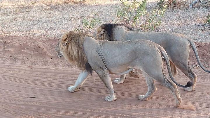 Victoria Falls, Chobe, Makgadikgadi and Okavango Delta 6-Day Overland Safari (1/12)