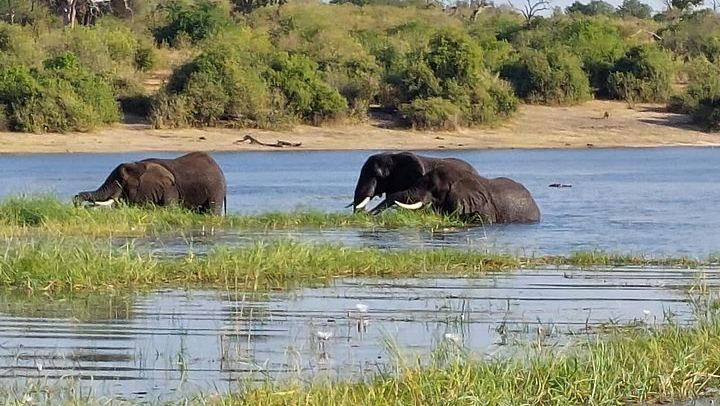 Victoria Falls, Chobe, Makgadikgadi and Okavango Delta 6-Day Overland Safari (2/12)