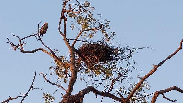 Victoria Falls, Chobe, Makgadikgadi and Okavango Delta 6-Day Overland Safari (3/12)
