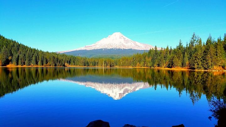 Full-Day Gorge Waterfalls, Hood River and Mt. Hood Loop with Local Guide (1/12)