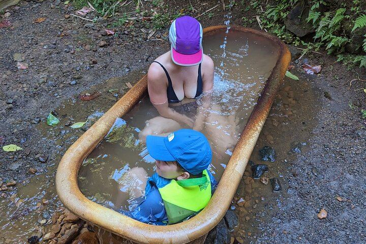 Seven-Hour Foraging Hike in Dominica: Middleham Falls, Ti Tou Gorge, Hot Springs (1/12)