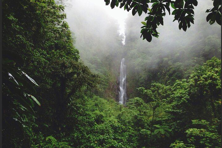 Small-Group Dominica Waterfall Day for 2-5 Couples: Ti Tou Gorge, Champagne Reef (6/12)