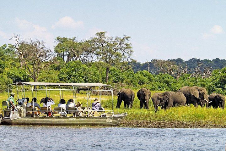 Victoria Falls and Chobe 2-Day Combo With Sunrise Falls Tour and Boat Safari (6/9)