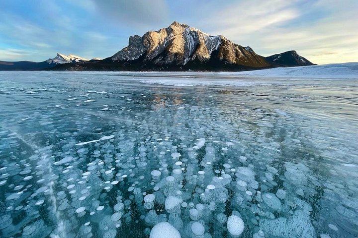 Small-Group Icefields Parkway Day Trip: Athabasca Falls and Abraham Lake Ice Bubbles (5/12)