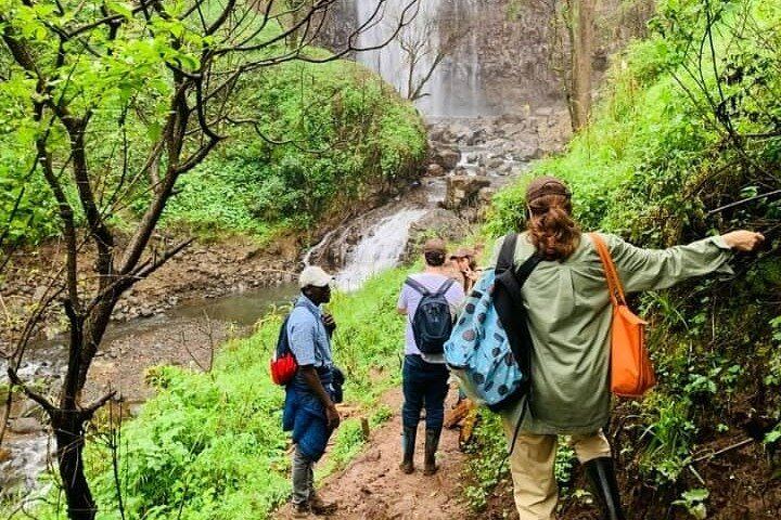 Small-Group Materuni Waterfall, Coffee Making and Chemka Hot Springs, Arusha Clock Tower (2/7)