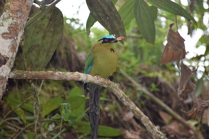Private Salto del Buey Tour with Zipline, Sky Hammocks, Coffee Viewpoint and Lunch (11/12)