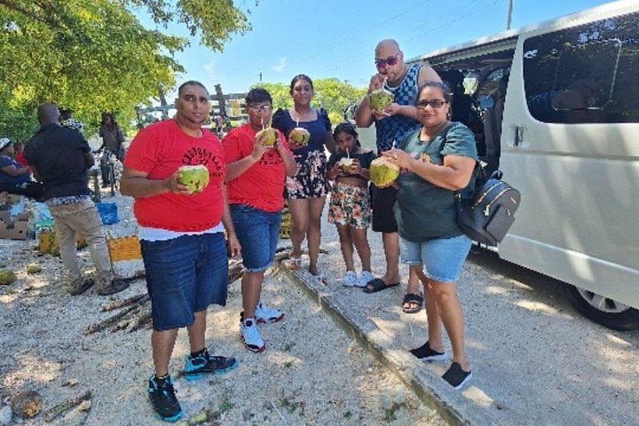 Private Vehicle Dunn's River Falls and Blue Hole Day Trip from Montego Bay and Falmouth (10/12)