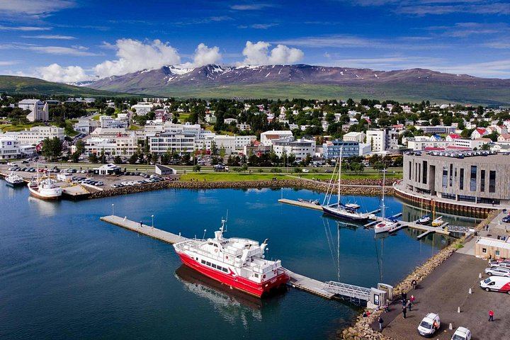 Godafoss, Turf House Museum and Forest Lagoon Soak from Akureyri Cruise Port (3/8)