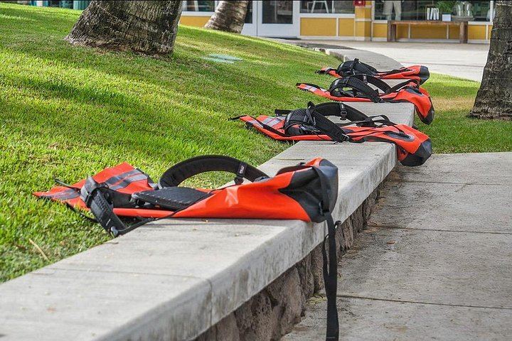Wailua River Kayak and Secret Falls Hike: Morning Departure, Marina Shuttle, Snacks (8/12)