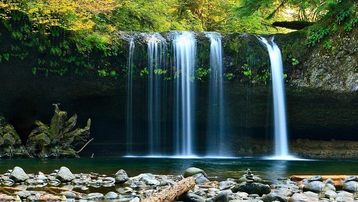 Luxury Plitvice Lakes Day Trip from Split or Trogir with Deer Valley Ranch Stop (3/9)
