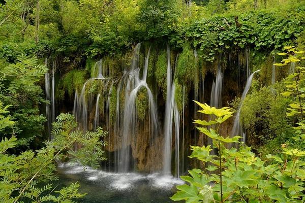Luxury Plitvice Lakes Day Trip from Split or Trogir with Deer Valley Ranch Stop