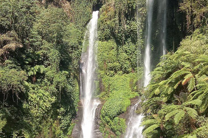 Private Sekumpul Waterfall Trek with Warung Lunch, Handara Gate and Bratan Temple (1/6)