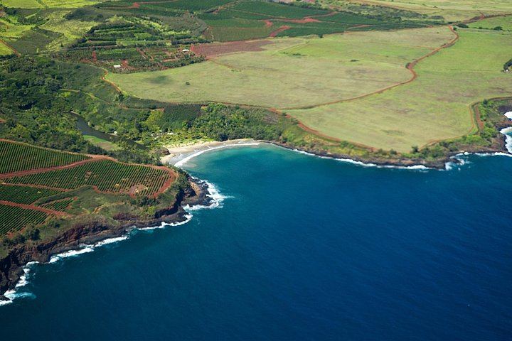 Kauai Airplane Tour in a GA-8 Airvan: Na Pali Coast, Wailua Falls, Window Seats (6/11)