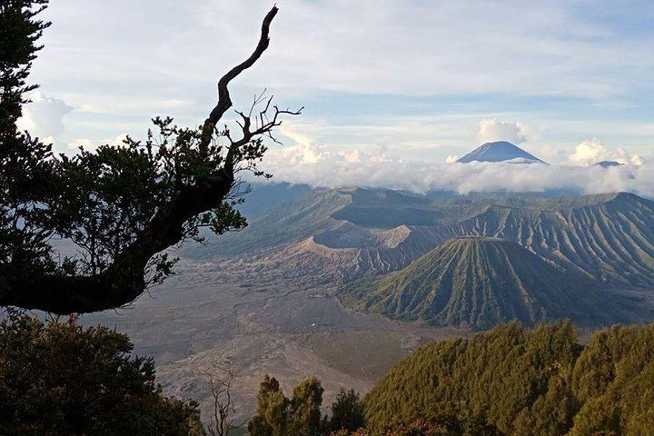 Three-Day Madakaripura Falls, Bromo Jeep Sunrise and Ijen Tour from Surabaya (1/8)