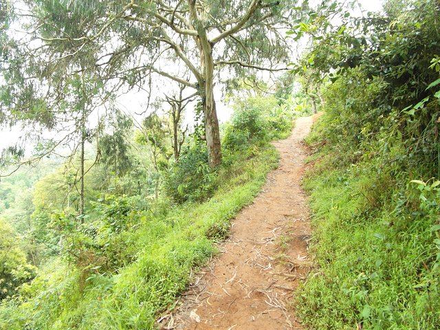 Materuni Waterfalls Swim and Chagga Coffee Half-Day Walk from Moshi Hotels (7/12)