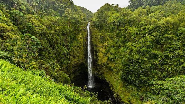 Private Jeep Road to Hana: Hidden Waterfalls, Bamboo Forest Hike and Lunch, 8 Hours (2/5)
