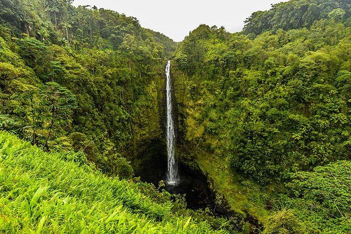 Private Jeep Road to Hana: Hidden Waterfalls, Bamboo Forest Hike and Lunch, 8 Hours (2/5)