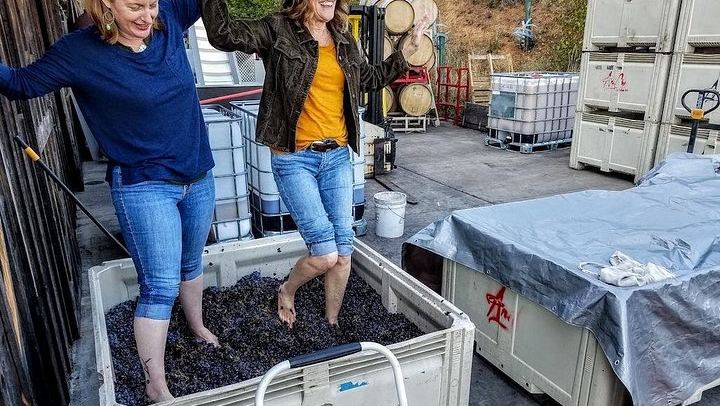 Eight-Hour Waterfalls and Wine Tour: Multnomah Falls, Hood River, Vineyards (3/12)