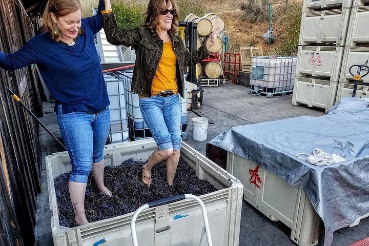 Eight-Hour Waterfalls and Wine Tour: Multnomah Falls, Hood River, Vineyards (3/12)