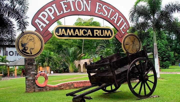 Private Appleton Rum, YS Falls and Black River Safari Day Tour from Montego Bay (1/8)