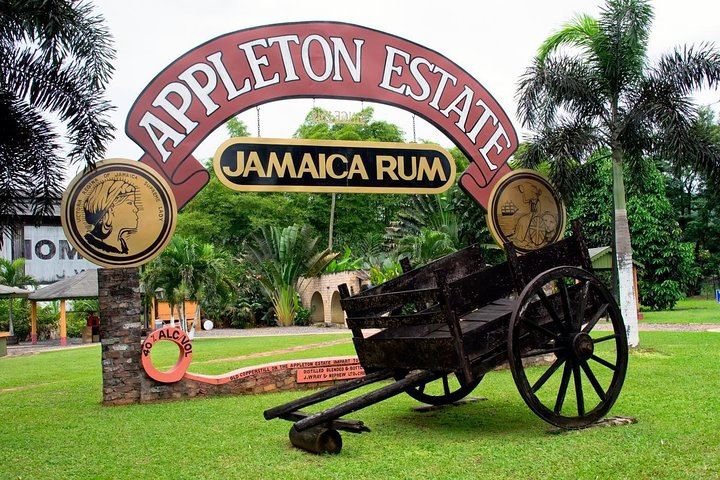 Private Appleton Rum, YS Falls and Black River Safari Day Tour from Montego Bay (1/8)