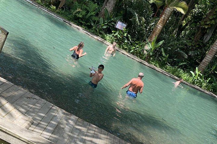 Pick 3 of 4: Appleton, YS Falls, Black River Safari or Pelican Bar from Negril (8/12)