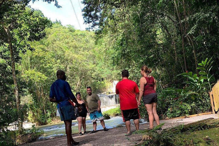Pick 3 of 4: Appleton, YS Falls, Black River Safari or Pelican Bar from Negril (2/12)