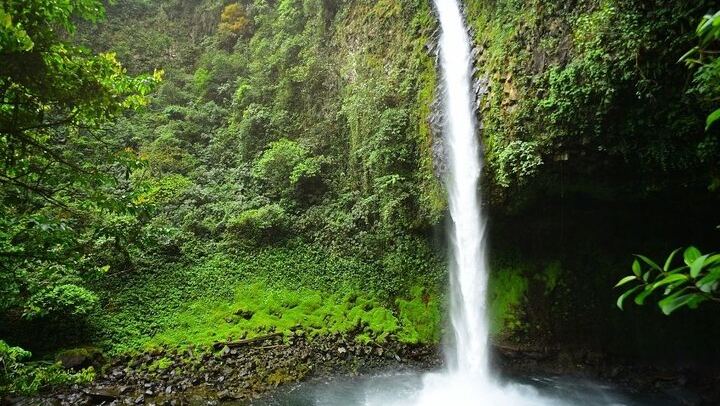 La Fortuna Waterfall Guided Hike with Farm-to-Table Lunch at La Finquita Farm (2/6)