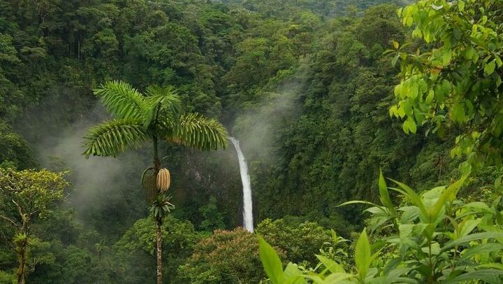La Fortuna Waterfall Guided Hike with Farm-to-Table Lunch at La Finquita Farm (1/6)