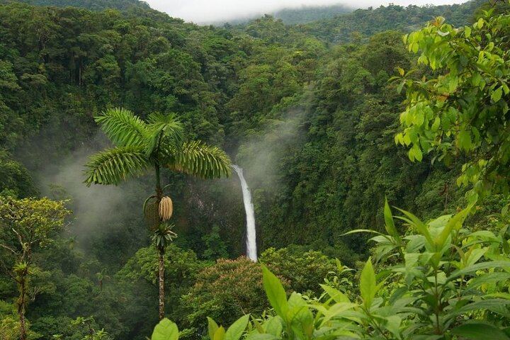 La Fortuna Waterfall Guided Hike with Farm-to-Table Lunch at La Finquita Farm (1/6)