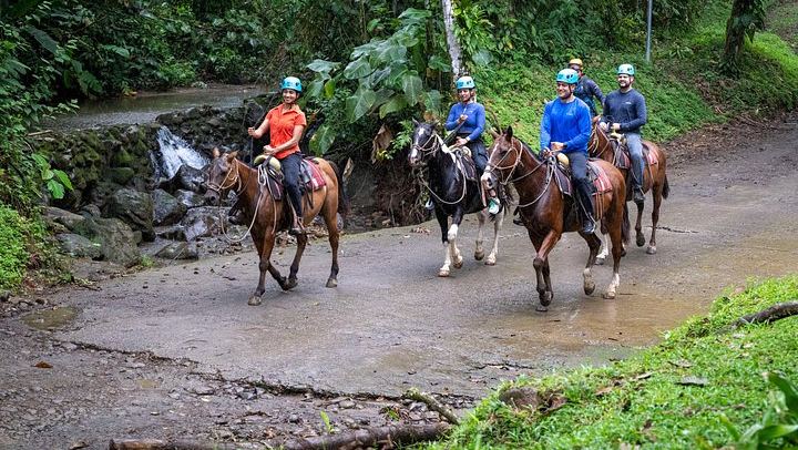 Arenal Rainforest Horseback Ride to La Fortuna Waterfall, Minimum Age 7, Two-Rider Minimum (4/7)