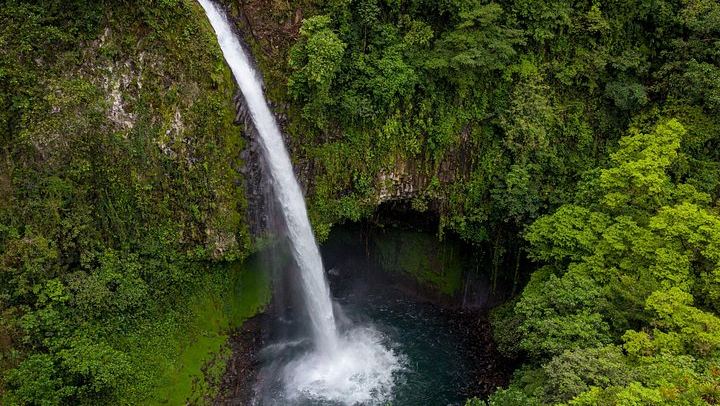 Arenal Rainforest Horseback Ride to La Fortuna Waterfall, Minimum Age 7, Two-Rider Minimum (2/7)