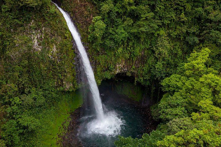 Arenal Rainforest Horseback Ride to La Fortuna Waterfall, Minimum Age 7, Two-Rider Minimum (2/7)