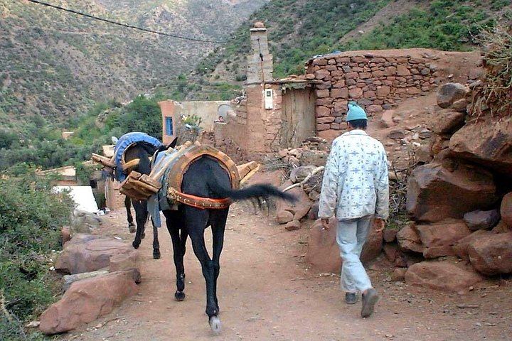 Ourika Valley Day Trip from Marrakech: Private or Shared Waterfall Hike and Artisans (8/12)