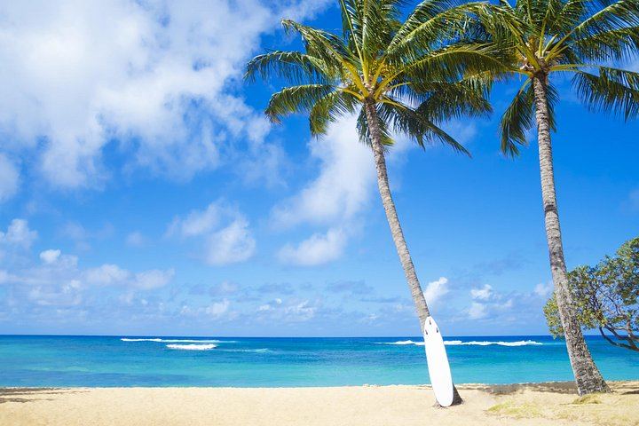 Kauai Wailua Valley and Waterfalls Self-Drive Audio Tour with Shaka Guide App, Offline (8/11)