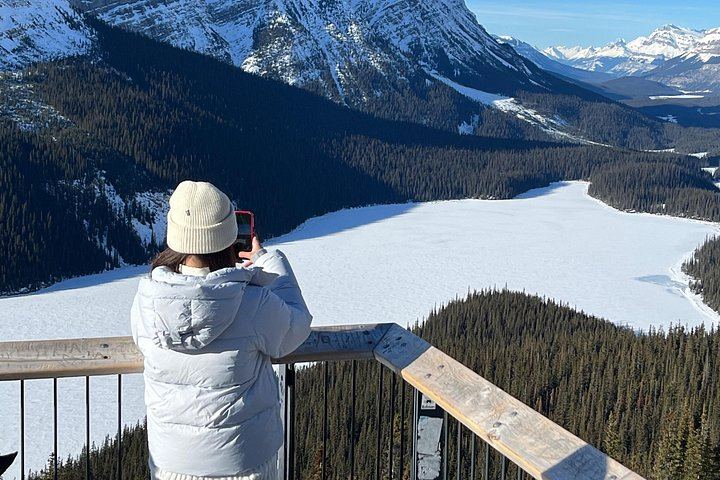 Small-Group Icefields Parkway Day Trip: Athabasca Falls and Abraham Lake Ice Bubbles (6/12)