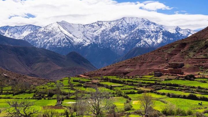 Atlas Mountains Day Trip from Marrakech: Four Valleys, Waterfall Hike and Camel Ride (4/12)