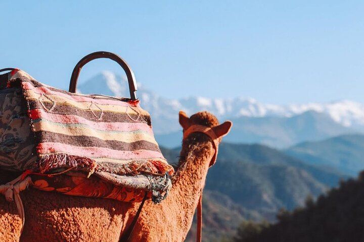 Atlas Mountains Day Trip from Marrakech: Four Valleys, Waterfall Hike and Camel Ride (7/12)