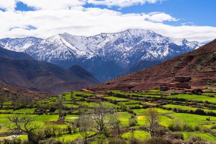 Atlas Mountains Day Trip from Marrakech: Four Valleys, Waterfall Hike and Camel Ride (4/12)