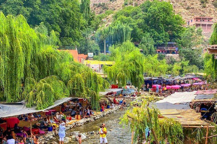 Atlas Mountains Day Trip from Marrakech: Four Valleys, Waterfall Hike and Camel Ride (12/12)