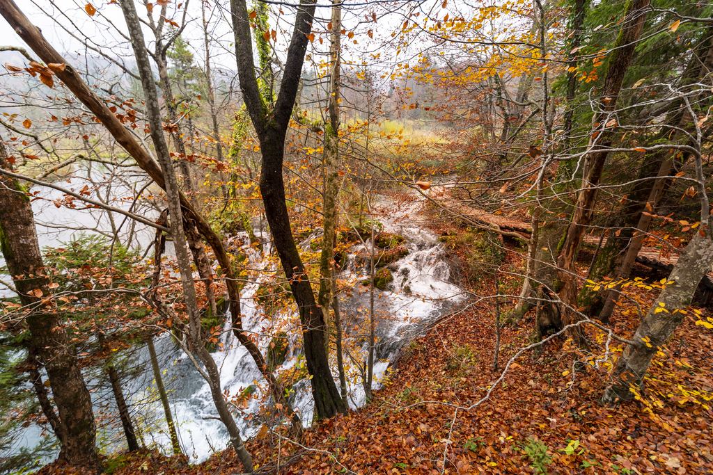 Stream running over rocks through autumn forest at Plitvice Lakes National Park, Croatia
