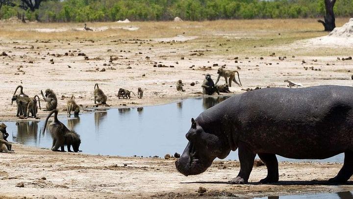Victoria Falls and Hwange 5-Day Safari With Sunset Cruise and Full-Day Game Drive (3/6)