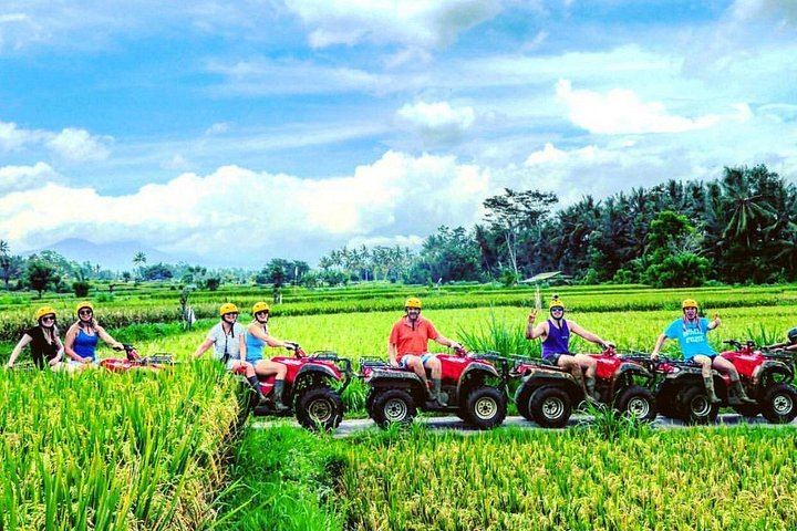 Bali 350cc Quad Bike Ride with Sangeh Monkey Forest, Waterfall and Buffet Lunch (3/12)
