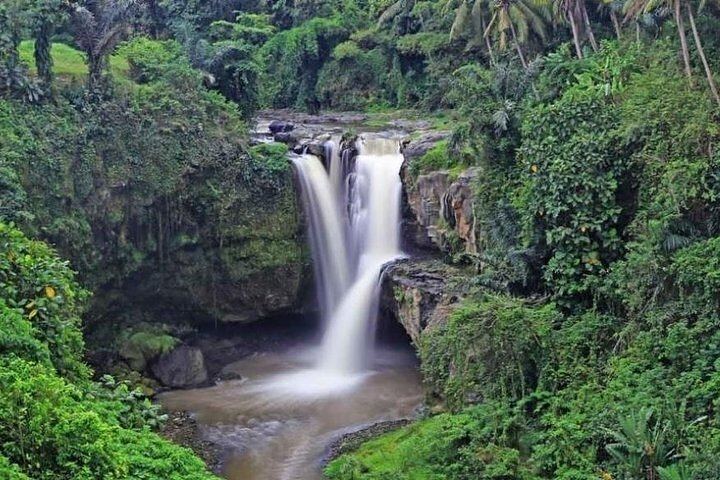 Ubud Private Waterfall Tour: Tukad Cepung, Kanto Lampo and Tegenungan With Tickets (1/12)
